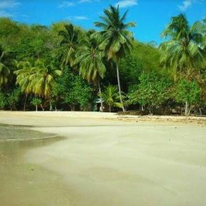 Meet your Posher, Fauso